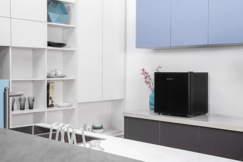 Subcold Eco35F Mini Freezer - Black