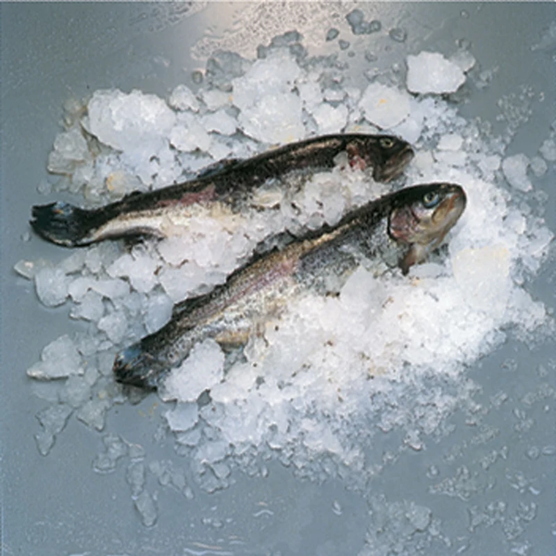 Scherbeneisbereiter 400 Kg ohne Reservebehälter - LUFT - ICE400ISA