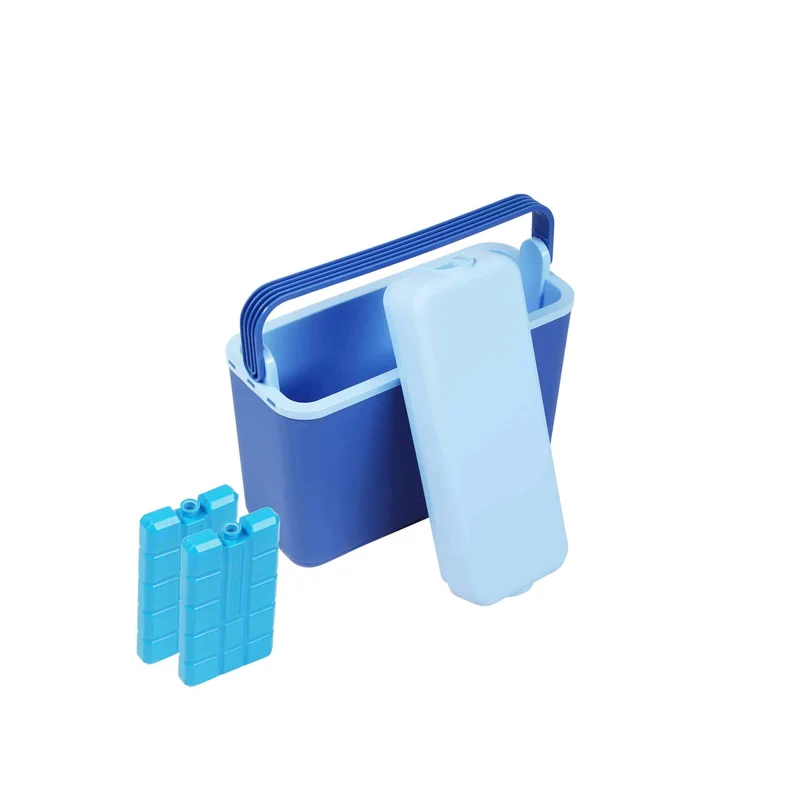 Kühlbox 12L + 2 Kühlakkus