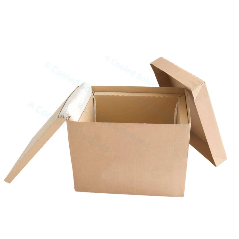Eco Coolbox 315 x 235 x 265 mm