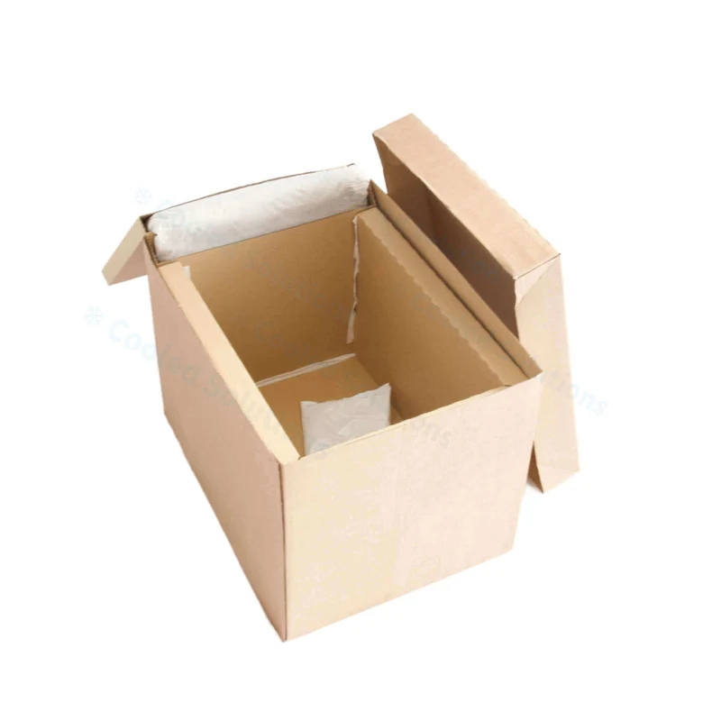 Eco Coolbox 400 x 300 x 300 mm (pro 120 Stück)