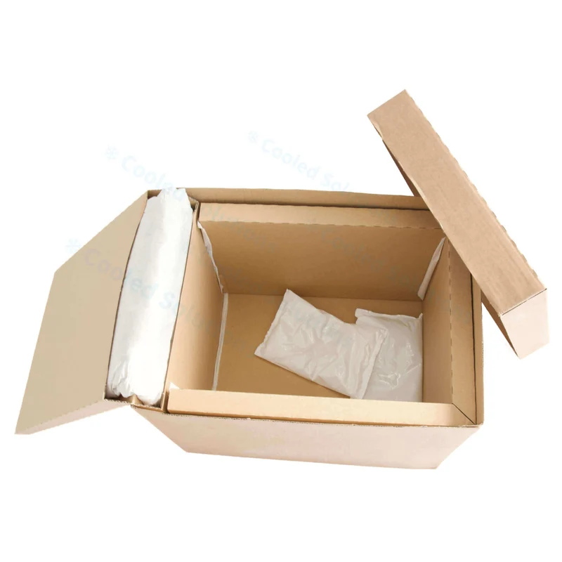 Eco Coolbox 400 x 300 x 300 mm (pro 120 Stück)