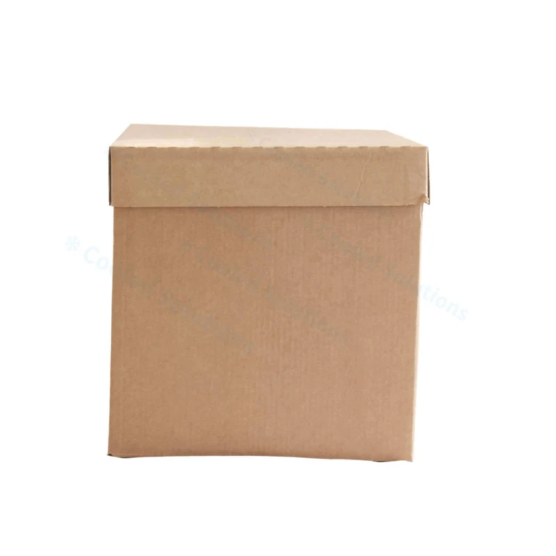 Eco Coolbox 400 x 300 x 300 mm (pro 120 Stück)