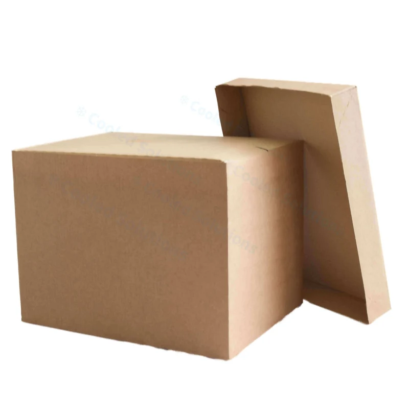 Eco Coolbox 400 x 300 x 300 mm (pro 120 Stück)