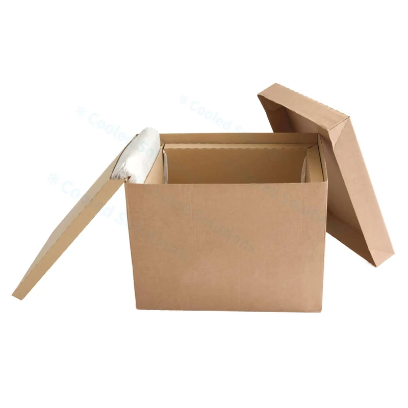 Eco Coolbox 600 x 400 x 375 mm (Palette 50 Stück)