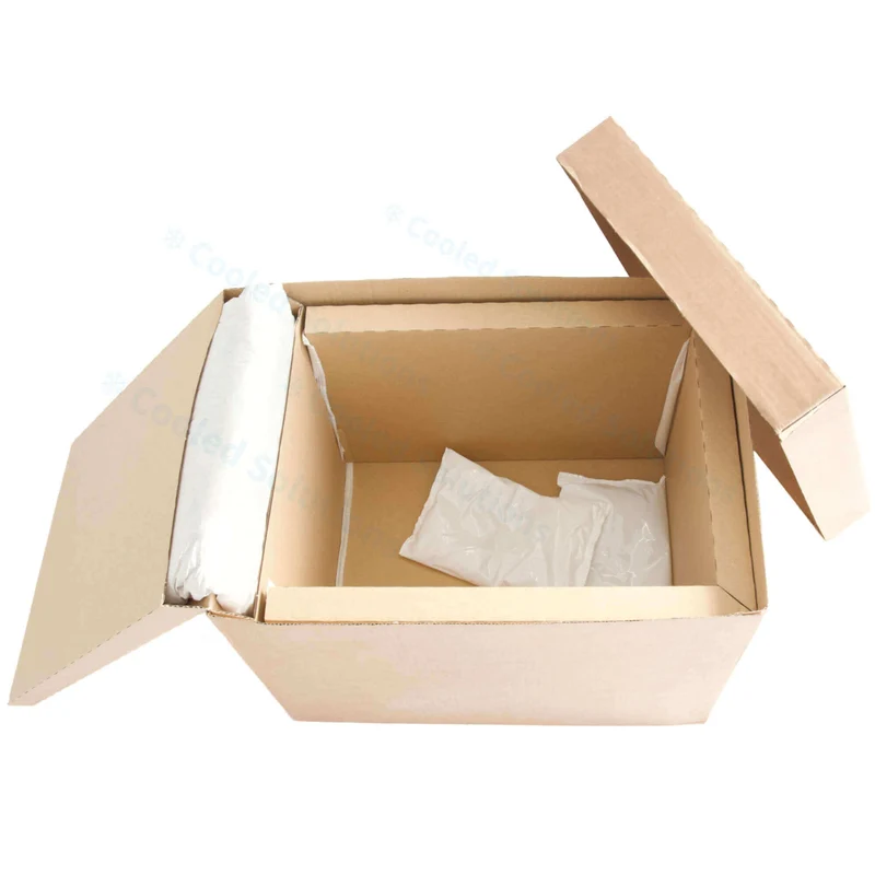 Eco Coolbox 400 x 300 x 300 mm