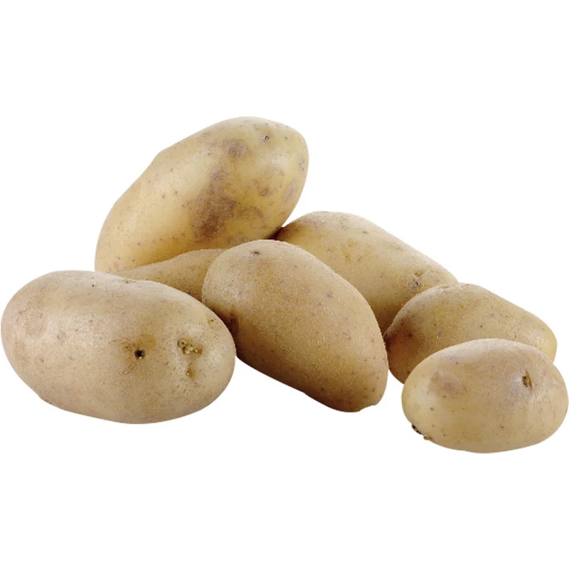 Professionelle Kartoffelschälmaschine 5 kg , Tischgerät aus Edelstahl, PPF-05