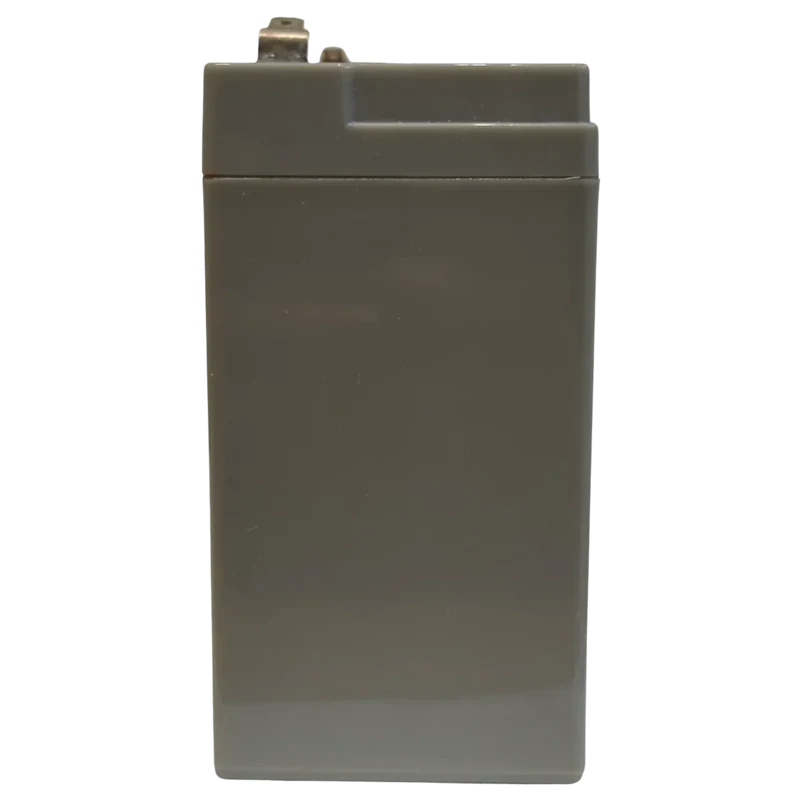 Batterie Plomb AGM ACEDIS STD13S 6V 13Ah – VRLA Étanche Sans Entretien Floating