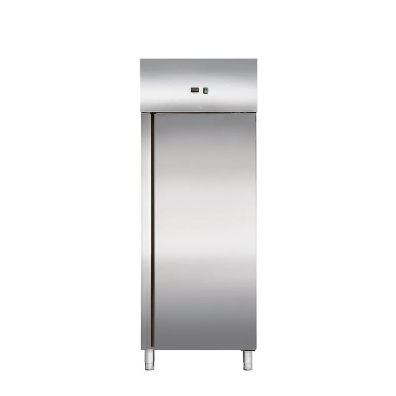 Edelstahltiefkühlschrank, Inhalt 610 Liter, GN2/1