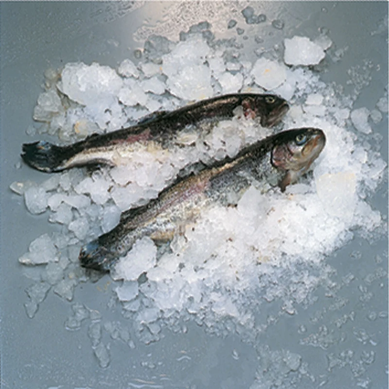 Scherbeneismaschine 900 kg/24h , Wassergekühlt , Modulgerät ohne Behälter, ICE900ISW