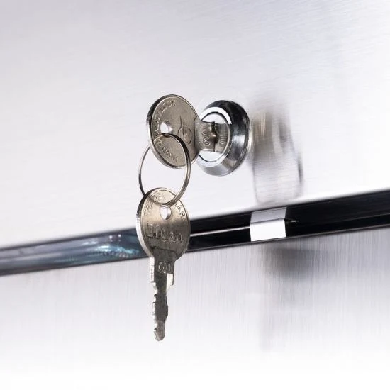 Starline Doppeltür-Kühlschrank mit Rädern, GN 2/1