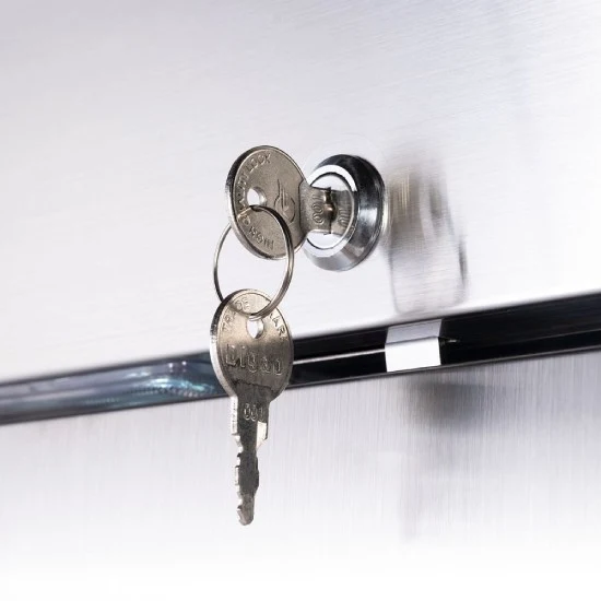 Starline Doppeltür-Tiefkühlschrank mit Rädern, GN 2/1