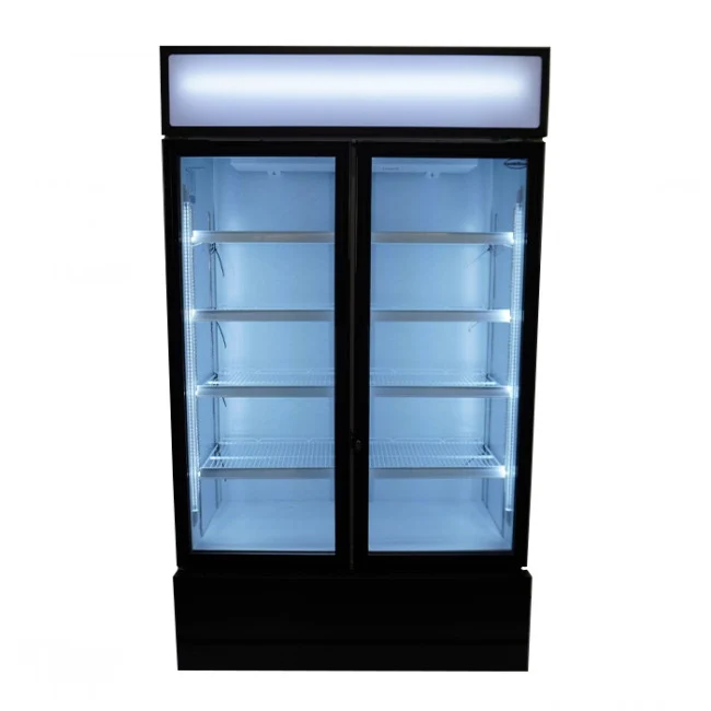 Kühlschrank mit 2 Glastüren, 670 Liter