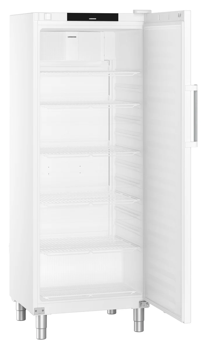 FRFvg 6501 GASTRONOMIE KUEHL-LAGERSCHRANK UMLUFTKUEHLUNG