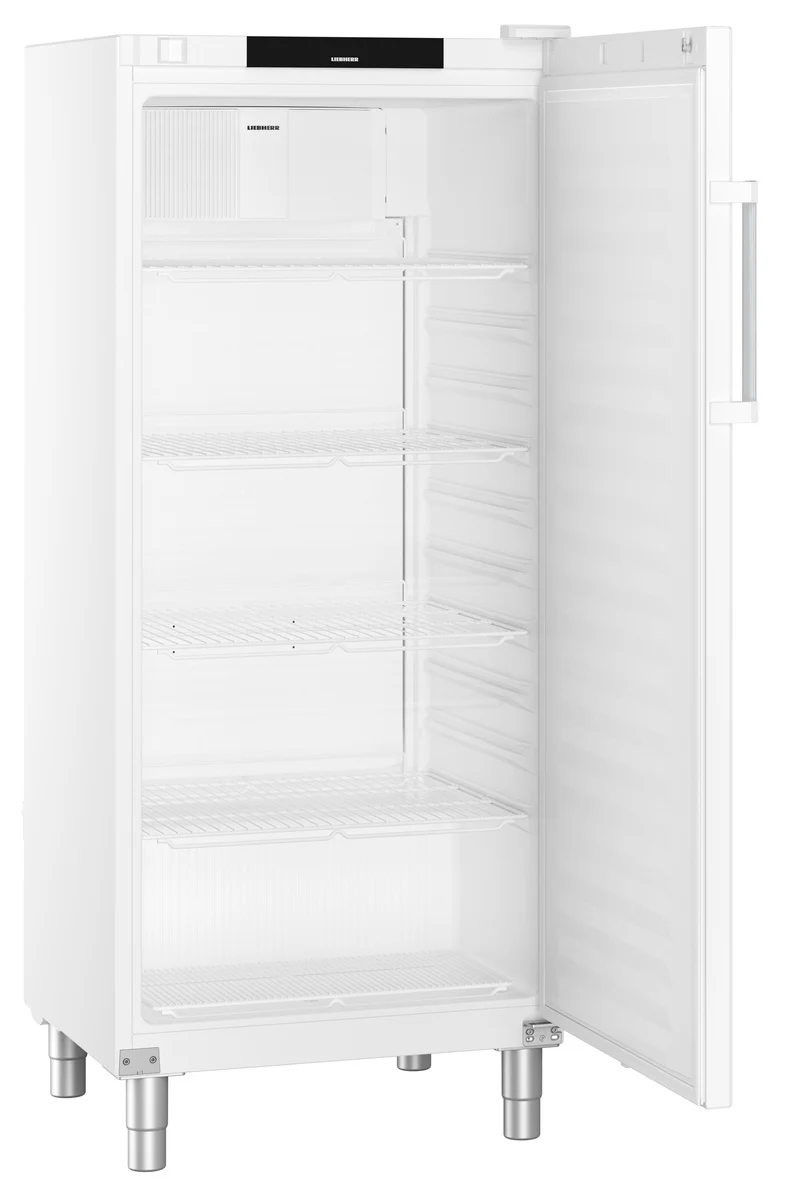 FRFvg 5501 GASTRONOMIE KUEHL-LAGERSCHRANK UMLUFTKUEHLUNG