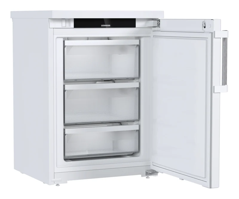 FFTvg 1501 GASTRONOMIE GEFRIER-LAGERSCHRANK UMLUFTKUEHLUNG