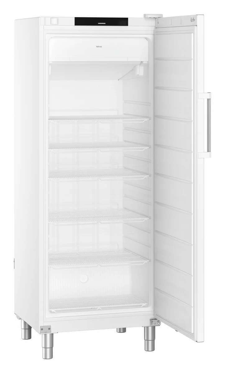 FFFvg 6501 GASTRONOMIE GEFRIER-LAGERSCHRANK UMLUFTKUEHLUNG