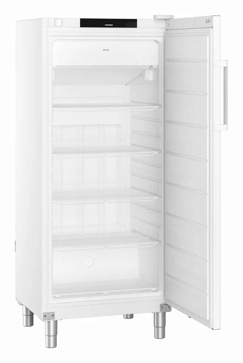 FFFvg 5501 GASTRONOMIE GEFRIER-LAGERSCHRANK UMLUFTKUEHLUNG