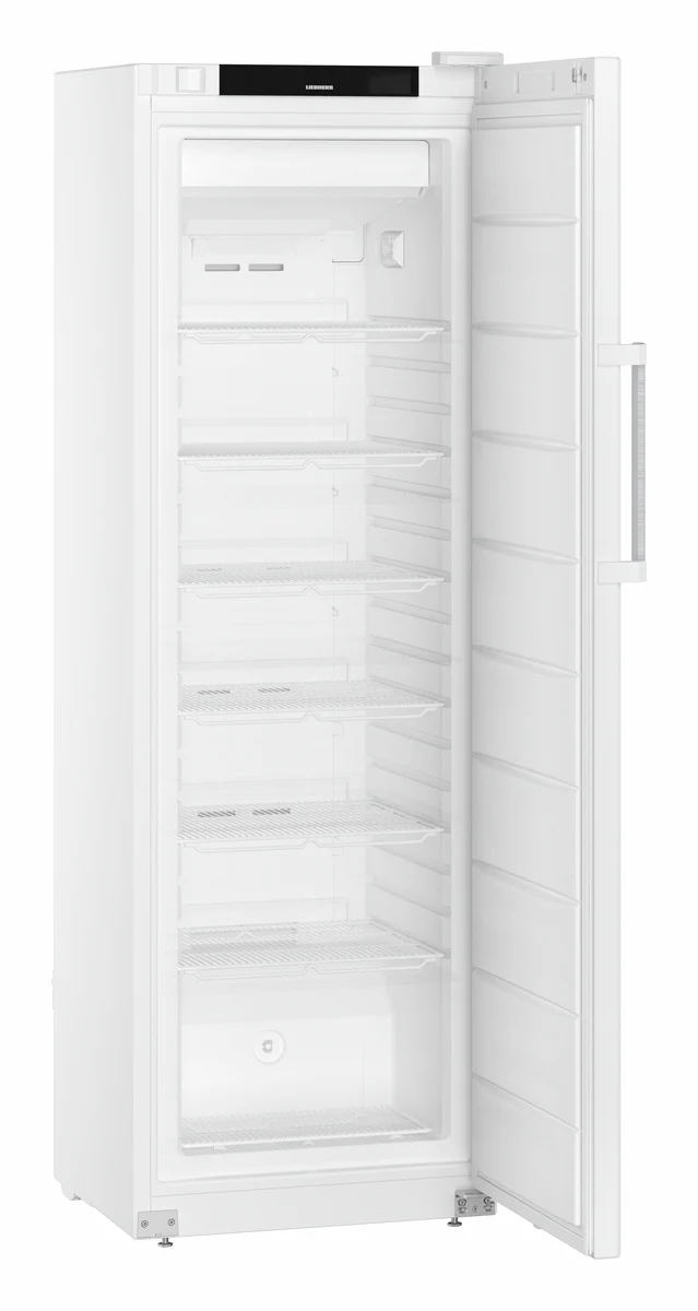 FFFvg 4001 GASTRONOMIE GEFRIER-LAGERSCHRANK UMLUFTKUEHLUNG