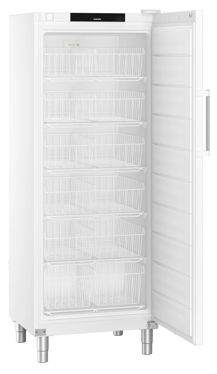 FFFsg 6501 GASTRONOMIE GEFRIER-LAGERSCHRANK STATISCHE KUEHLUNG