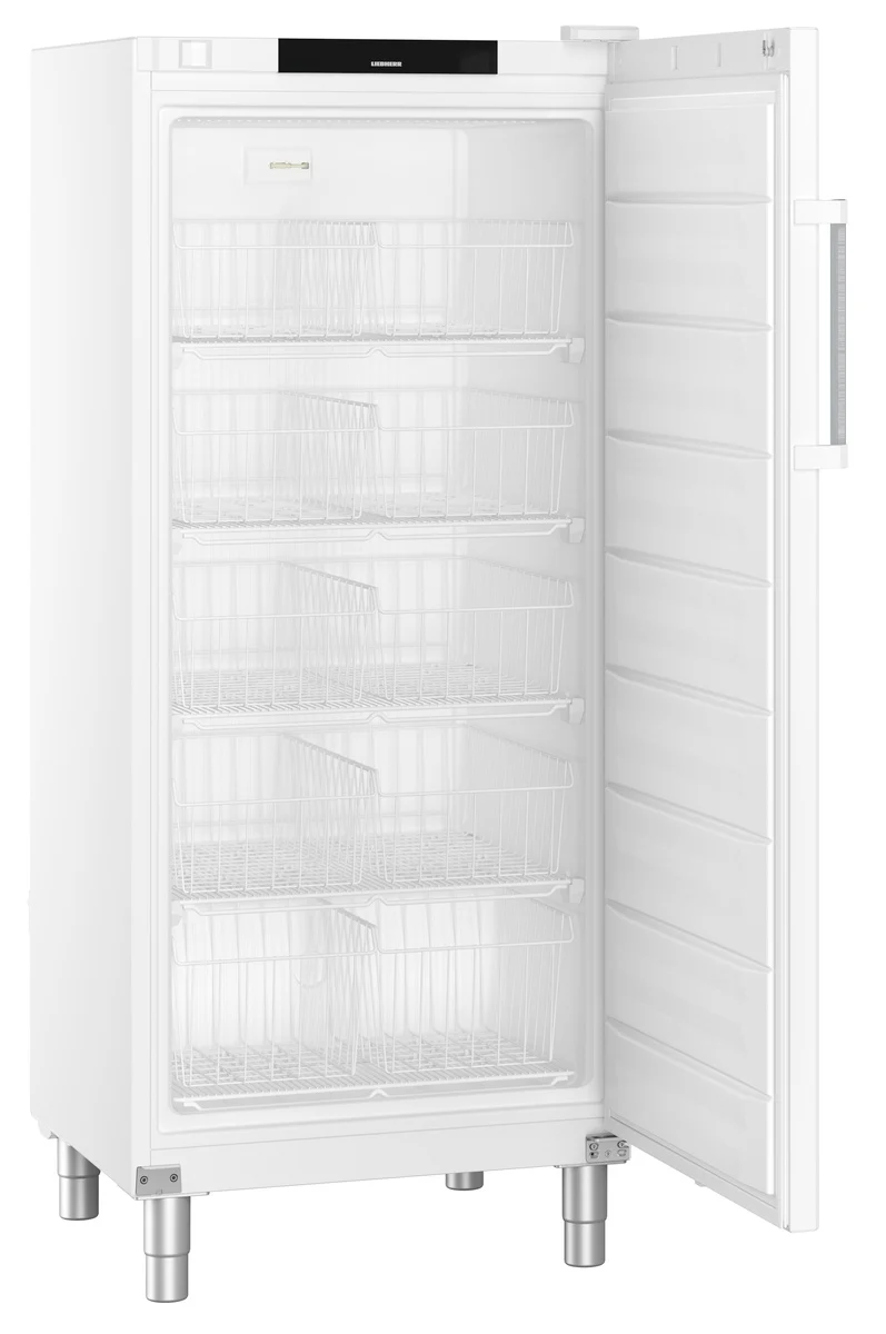 FFFsg 5501 GASTRONOMIE GEFRIER-LAGERSCHRANK STATISCHE KUEHLUNG