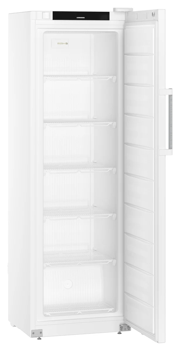 FFFsg 4001 GASTRONOMIE GEFRIER-LAGERSCHRANK STATISCHE KUEHLUNG