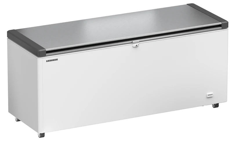 EFL 6056 GASTRONOMIE GEFRIER-LAGERTRUHE STATISCHE KUEHLUNG