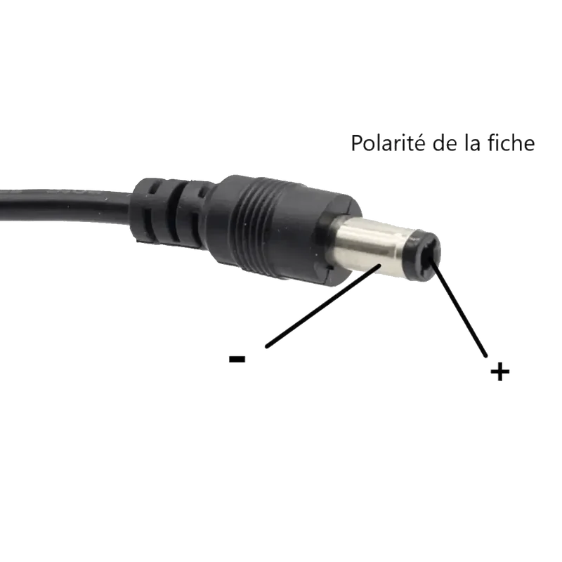 Adaptateur mural AC/DC 220V 36V 1.5A